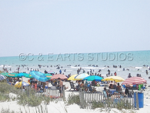 Mixed Media-On Paper-Beach Overlook