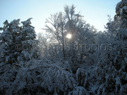 Mixed Media-On Paper-Blue Morning Sun