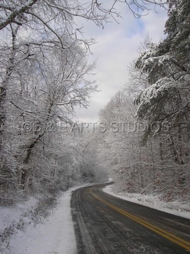 Photography-Digital-The Long Road Home