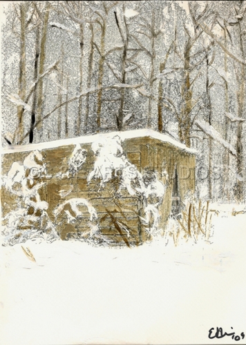 Photography-Digital-Nancy's Place
