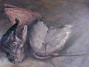 Re-decomposition (thumbnail)