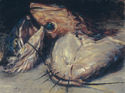 Still%20Death%3A%20Fish%20Head%20Study (thumbnail)