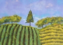 Lone%20Pine (thumbnail)