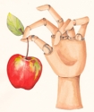 An%20Apple%20A%20Day%21 (thumbnail)