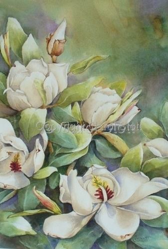 Magnolias%20I (large view)