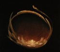 Carolyn Adams - Abstract Painting Carolyn Adams, abstract painting, chiaroscuro, spirituality, composition. - Abstract Painting
