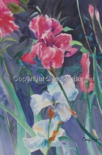 Painting-Watercolor-Whites and Reds