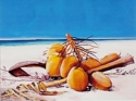 Rachel Castera Herter - Summer time coconuts