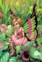 Pink Fairy Pink%20Fairy (thumbnail)