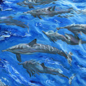 Dolphin%20Cruise (thumbnail)