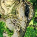 Tree%27s%20Knees (thumbnail)