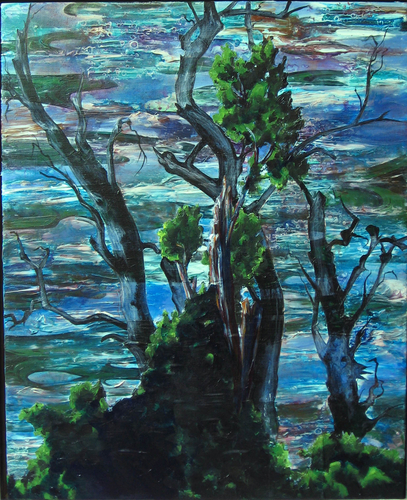 American%20River%20Trees (large view)