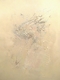 Painting--Acrylic-PrimitiveAnthropodia VII (Petrolea In Petrarossa)