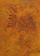 Mixed Media--On Canvas-RepresentationalAnthropodia VI (The Gargoyle)