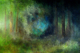 Painting-Dance Of The Fireflies