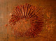 Painting--Acrylic-AbstractAnthropodia I  (Zionite)