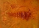 Painting--Acrylic-AbstractAnthropodia II  (Zionite)