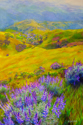 Kerima Swain - Spring on Mount Diablo #1