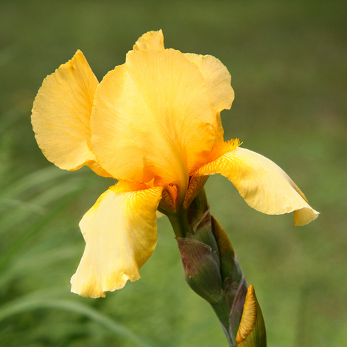 Photography-