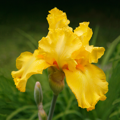 Photography-
