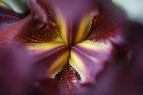 Photography-
