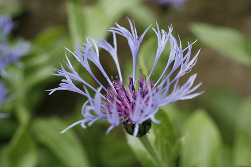 Photography-
