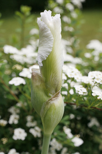 Photography-
