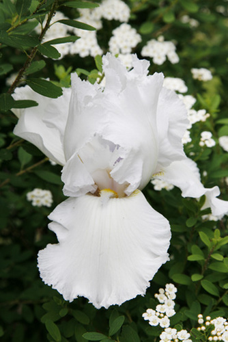 Photography-