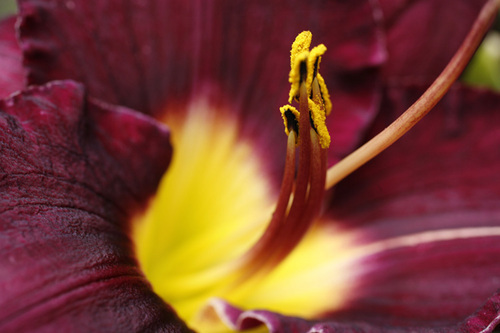 Photography-