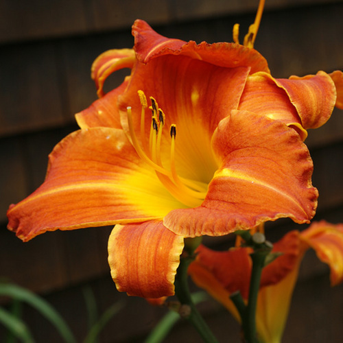 Photography-