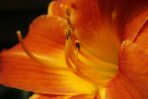 Photography-