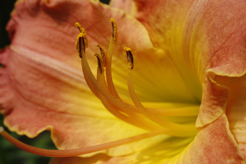 Photography-