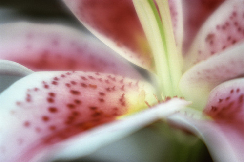 Photography-