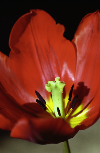 Photography-