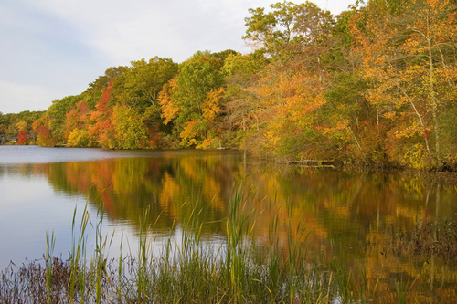 Photography-Landscape-