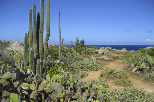 Photography-Landscape-