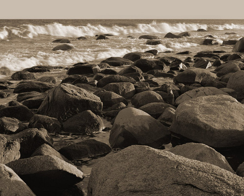 Photography-Nature-