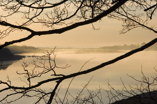 Photography-Nature-