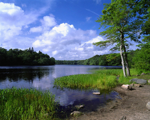 Photography-Landscape-