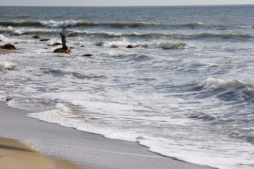 Photography-