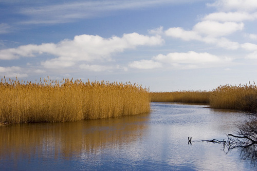 Photography-