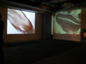 GLACIER LAYER Projections