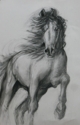 Sketch-Horse%20galloping (thumbnail)