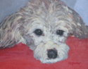 Ziggy (thumbnail)
