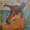 Collie (thumbnail)