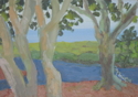 Charleston%20Water%20View (thumbnail)