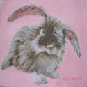 Caedance's Bunny Caedance%27s%20Bunny (thumbnail)