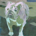 Bulldog (thumbnail)