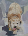 Chip (thumbnail)