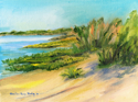 Bay Park Beach